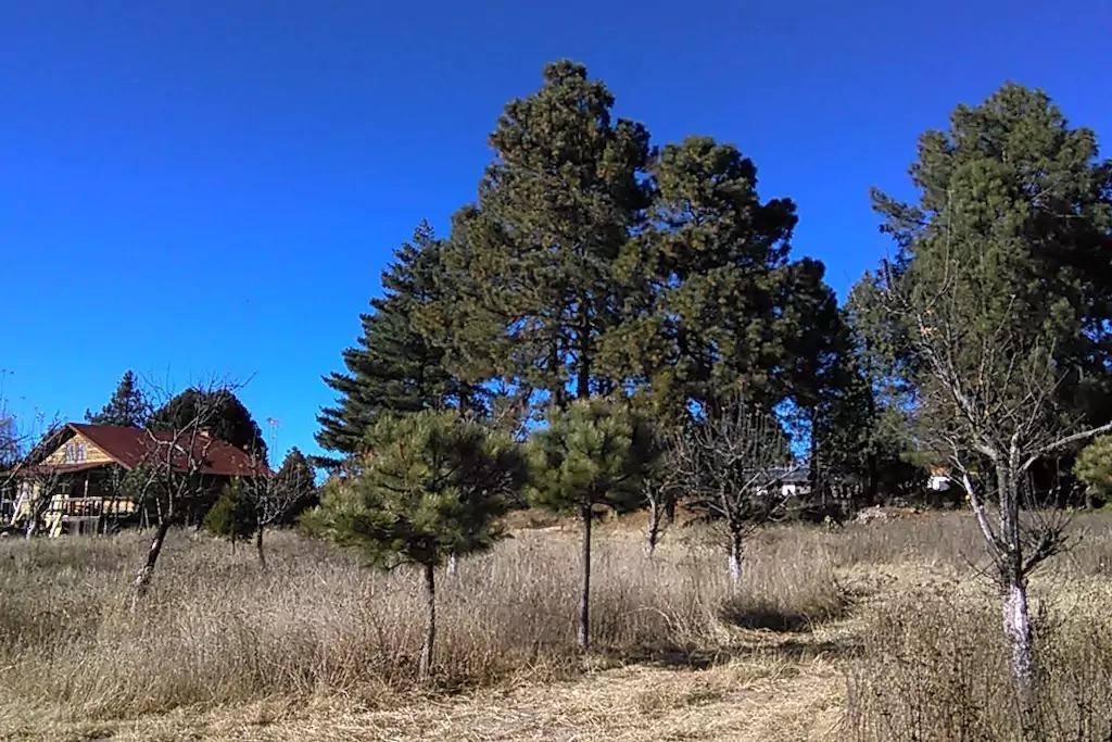 בית הארחה Huichigomachi 	Rancho Pitorreal מראה חיצוני תמונה